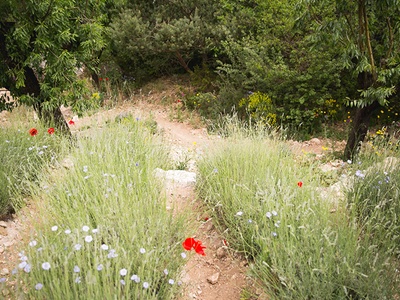 L'Occitane wins gold at 2016 RHS Chelsea Flower Show