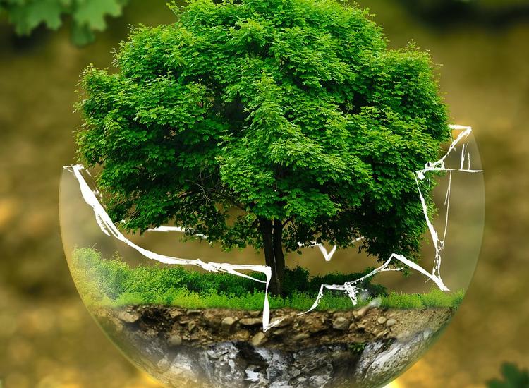L’Oréal achieves highest score for  sustainability efforts in CDP A List