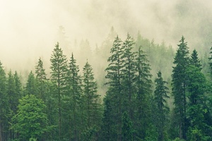 L’Oréal, Coty and Unilever among 27 companies to join Cosmetics Europe’s landmark eco initiative