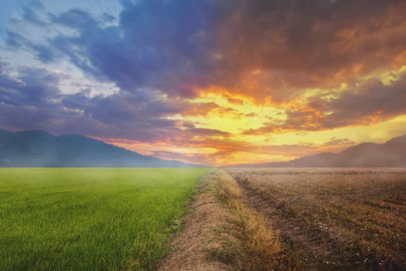 L’Oréal commits further €20 million to climate emergency fund