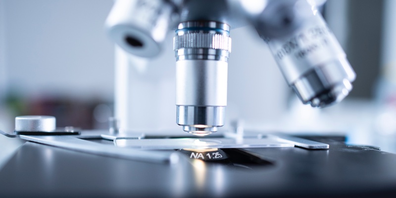 L'Oréal grants biotech incubator access to its 3D reconstructed skin models