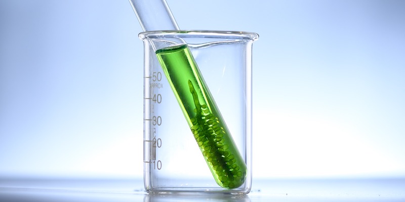 L’Oréal invests in green sciences with Microphyt minority stake acquisition