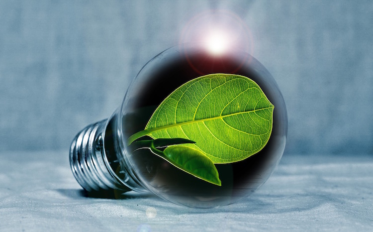 L'Oréal USA aims to be carbon neutral next year 
