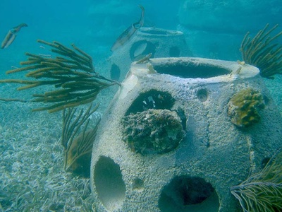 La Mer ME releases reef ball ahead of World Oceans Day