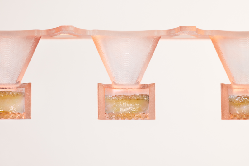 Lady Gaga-backed research firm Outer Bio wants to break skin care’s innovation bottleneck
