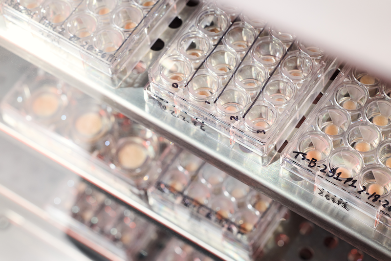 Lady Gaga-backed research firm Outer Bio wants to break skin care’s innovation bottleneck