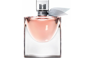 Lancome tops Digital IQ Index
