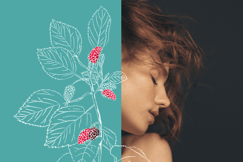 Lessons from nature: the cocoon effect on skin resilience