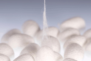 Lessons from nature: the cocoon effect on skin resilience