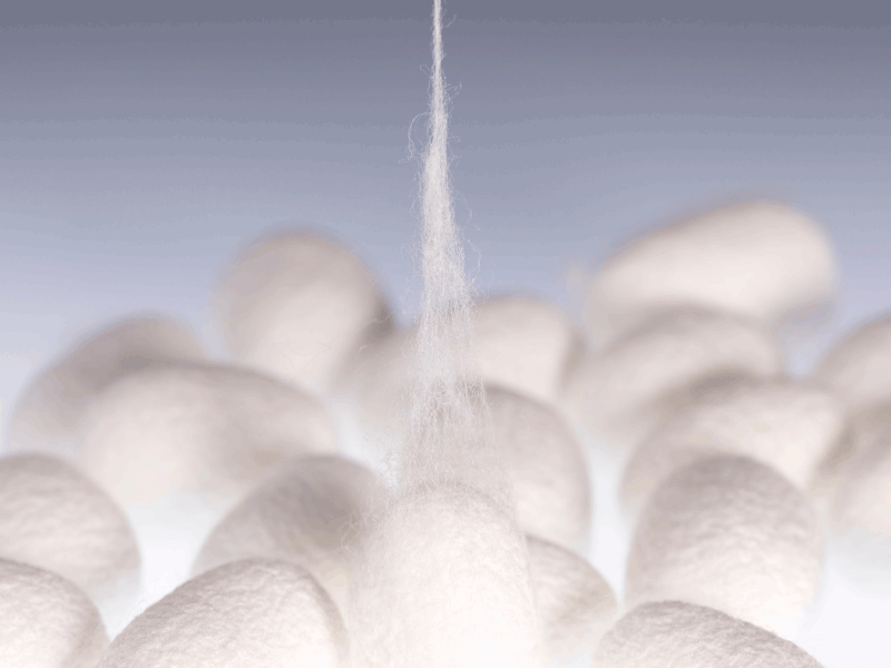 Lessons from nature: the cocoon effect on skin resilience