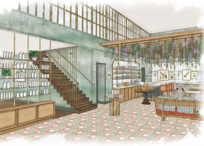 Linnaean brightens beauty high street with wellness-inspired concept store