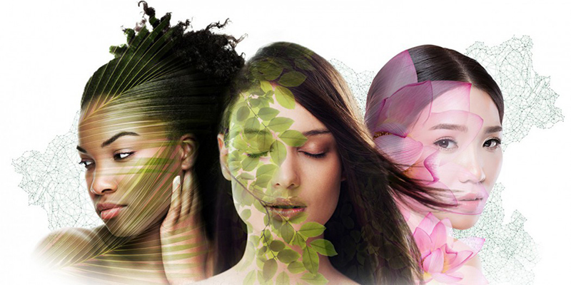 Lipotec launches new range of botanical extracts