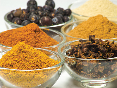 Local Indian Ayurvedic personal care company takes on the multinationals