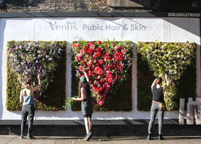 London is in bloom thanks to pubic displays from Venus 
