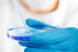 Lonza and Chr. Hansen land €90m backing to accelerate microbiome sector 
