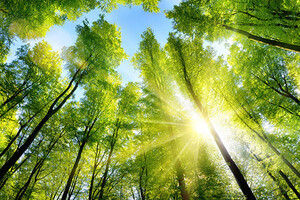Lubrizol makes commitment to the environment