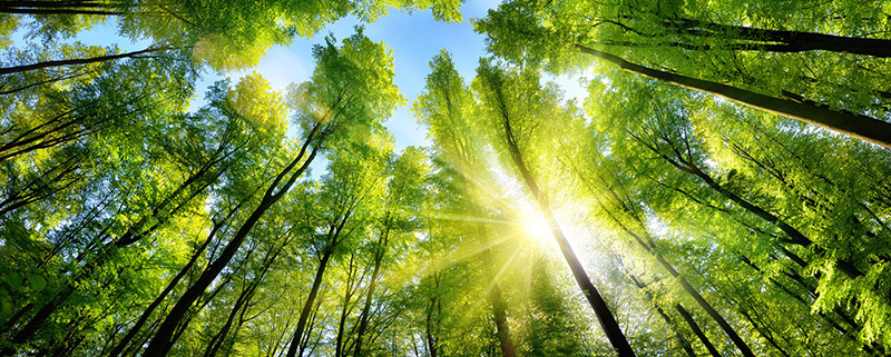 Lubrizol makes commitment to the environment