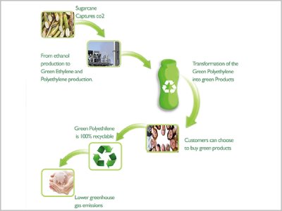 Lumson showcases green fingers