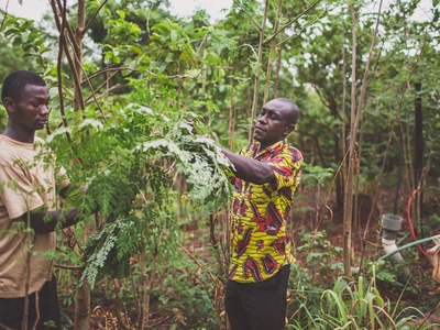 Lush backs regeneration with new global Spring Prize
