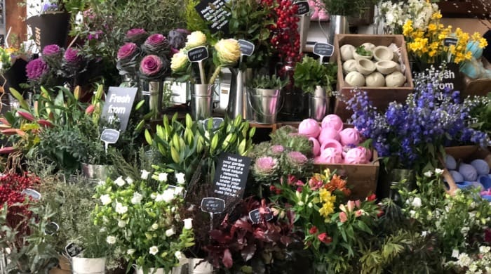 Lush set to expand into floristry in time for Valentine's Day 