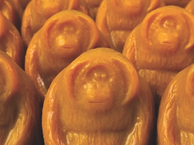 Lush turns orange for Black Friday with orangutan charity launch