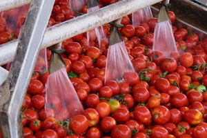 Lycored doubles lycopene production to keep up with ‘unprecedented’ demand
