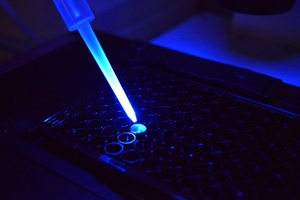 Mane acquires Chemosensoryx Biosciences to advance its receptor-based research