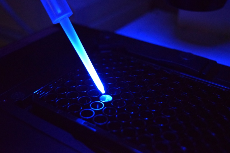 Mane acquires Chemosensoryx Biosciences to advance its receptor-based research