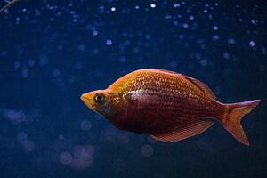 Marine Conservation Society warns of 'forever chemicals' in cosmetics 