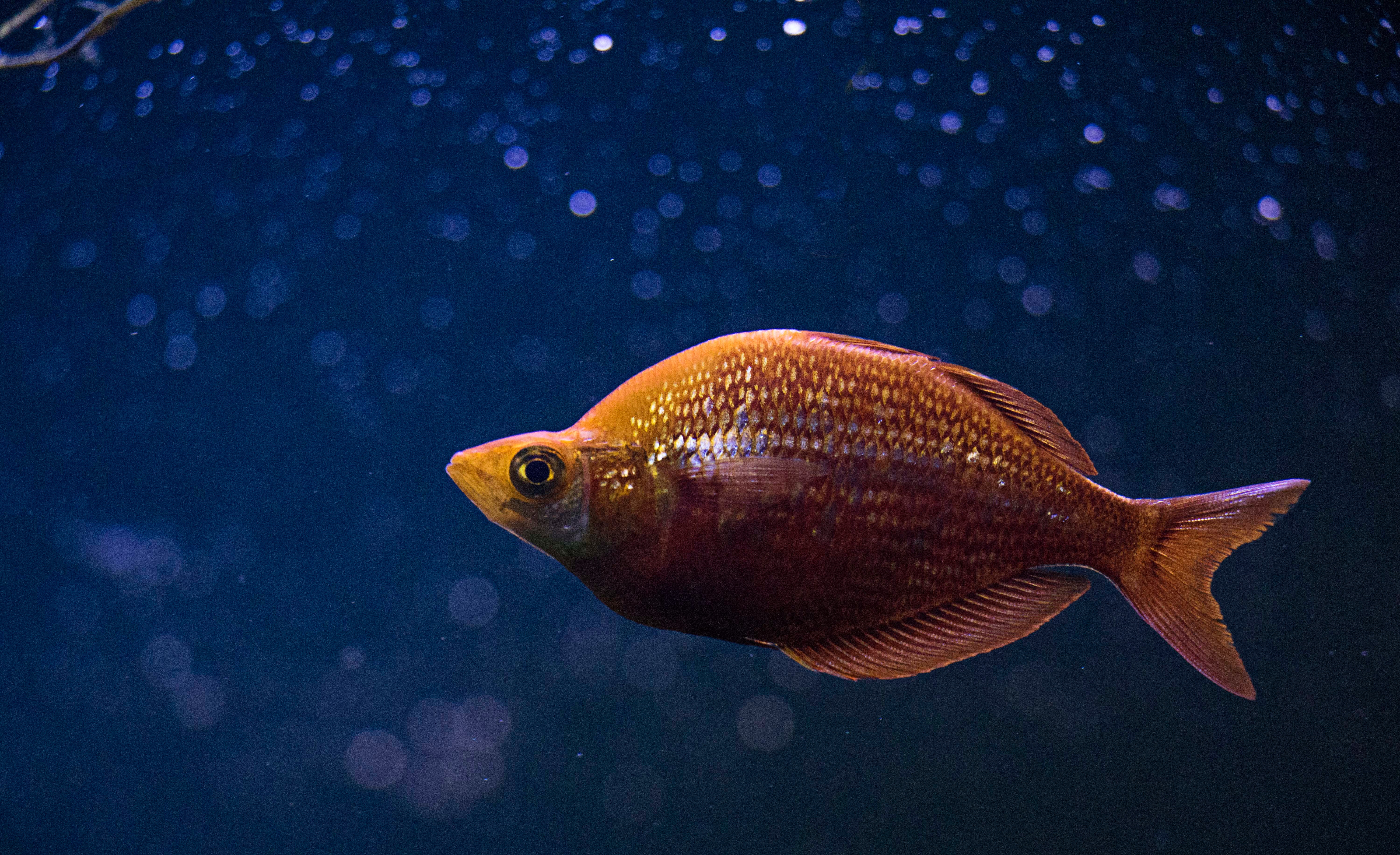 Marine Conservation Society warns of 'forever chemicals' in cosmetics 