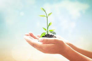 Merck presents new sustainability strategy
