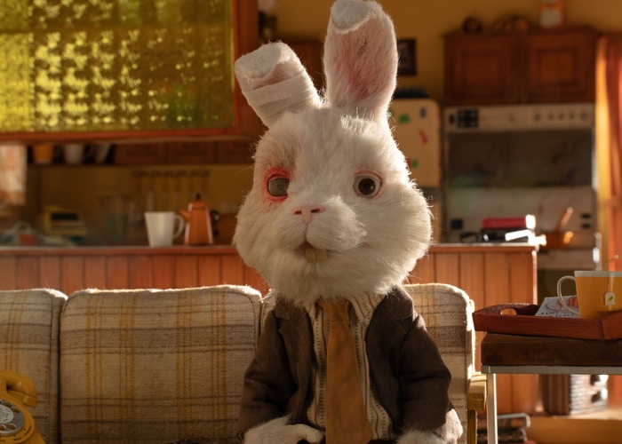 Mexico makes history to become first North American country to ban cosmetics testing on animals