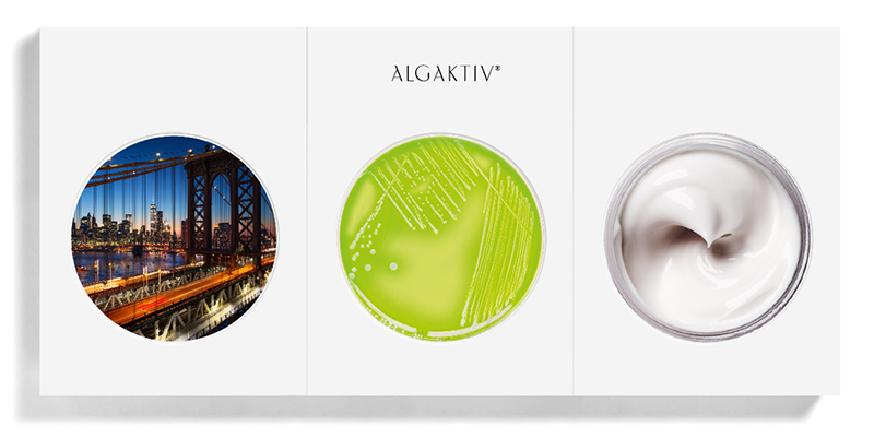 Microalgae bloom in New York City