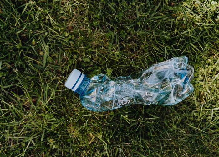 Microbes are evolving to eat plastics, study finds
