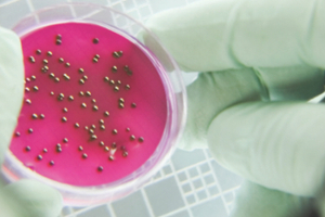 Microbiological control goes beyond the lab