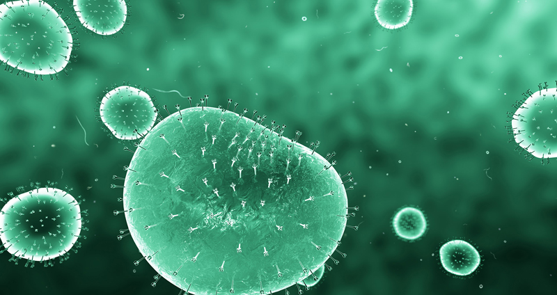 Microorganism Culture: Smart and clean process to make active ingredients