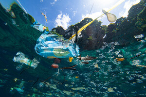 Microplastics: The plastics industry’s verdict