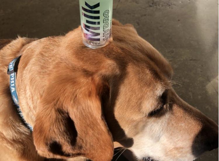 Milk Makeup awarded Leaping Bunny certification by Cruelty Free International