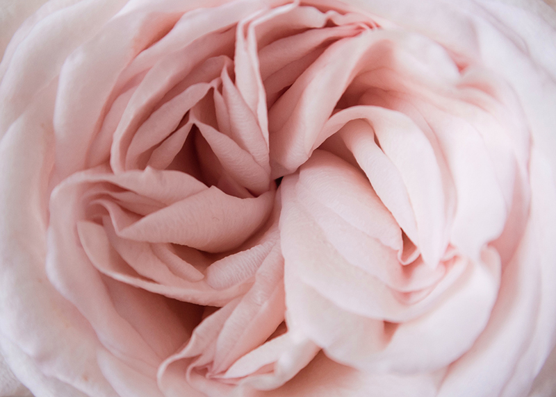 Mintel's latest report on China's feminine hygiene and sanitary protection