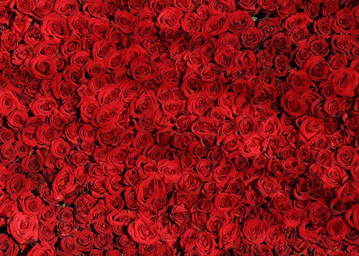 More than aromatic: Why rose is the next big beauty ingredient 