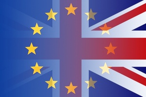 More than half of British retailers admit to having no post-Brexit plan