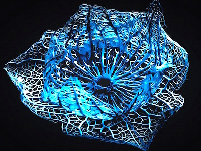 Morphing plastic 'remembers' shape