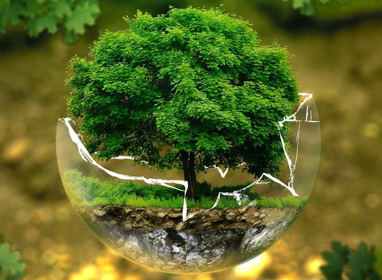 Most sustainable beauty companies revealed in CDP ranking