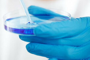 MSL pioneers world’s first vegan microbial limits and challenge tests