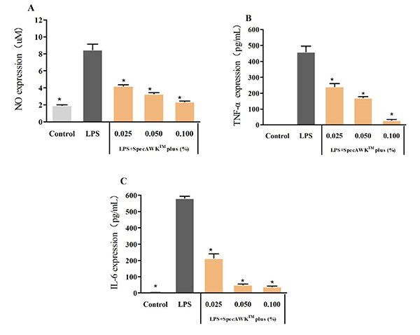 Fig 2: A,B,C Bar graphs showing NO, TNF-α and IL-6 expression results after treating LPS-induced macrophages with different concentrations of SpecAWKTMPlus, compared to control +LPS （* represents statistical significance with P value ＜0.05）