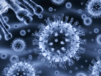 Nanoparticles revealed to 
negatively impact marine life