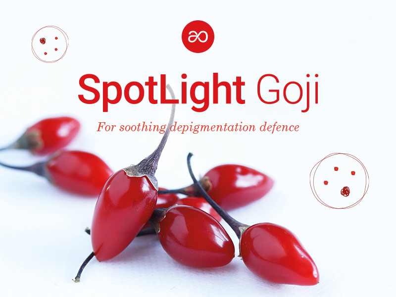 Naolys’ Spotlight Goji active plant cells honoured at the BSB Innovation Awards 2024