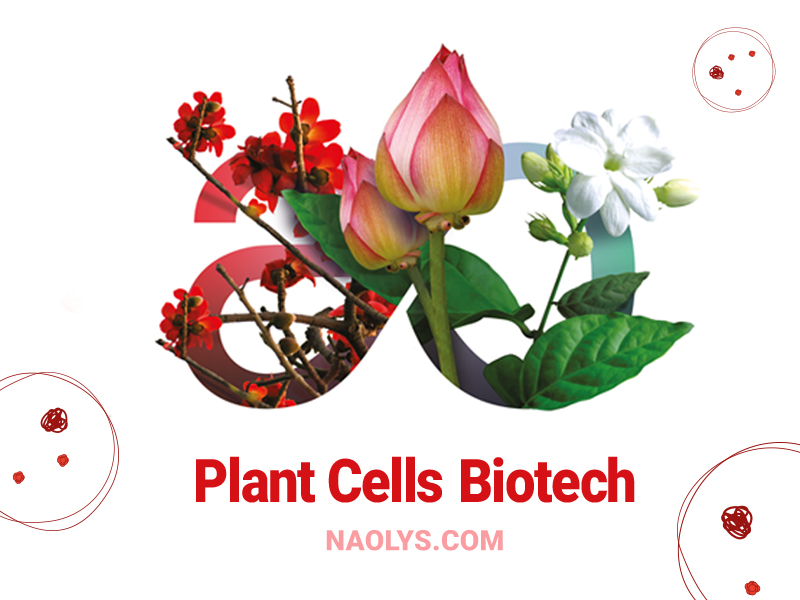 Naolys unveils latest active plant cells at in-cosmetic Global Show in Paris