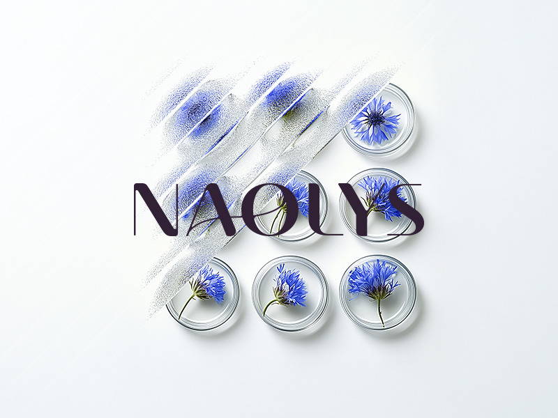 Naolys unveils new identity to reflect its values and vision