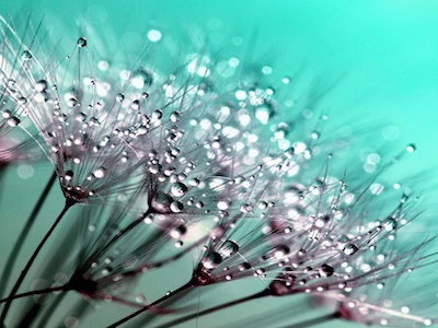Natural and organic products: what do consumers want?